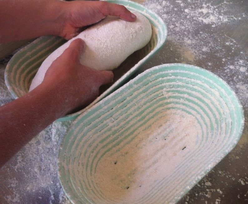Loyal Plastic Proofing Basket Long  500g