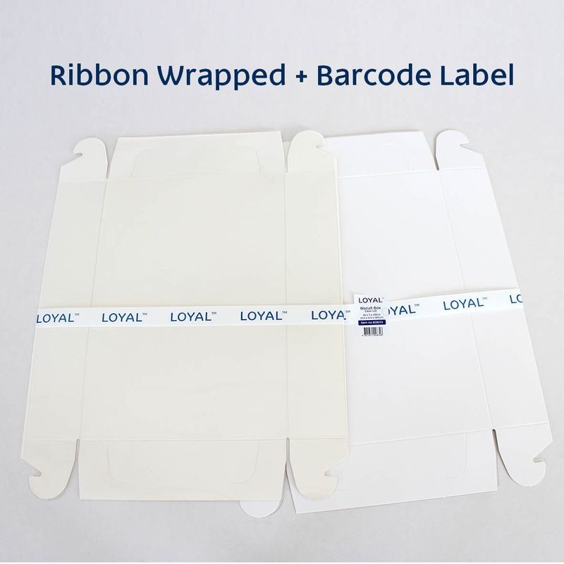 Loyal Clear Lid Biscuit Box - Rectangle - 10x7x2inches