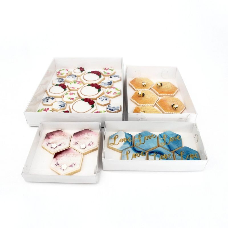 Loyal Clear Lid Biscuit Box - Rectangle - 10x7x2inches