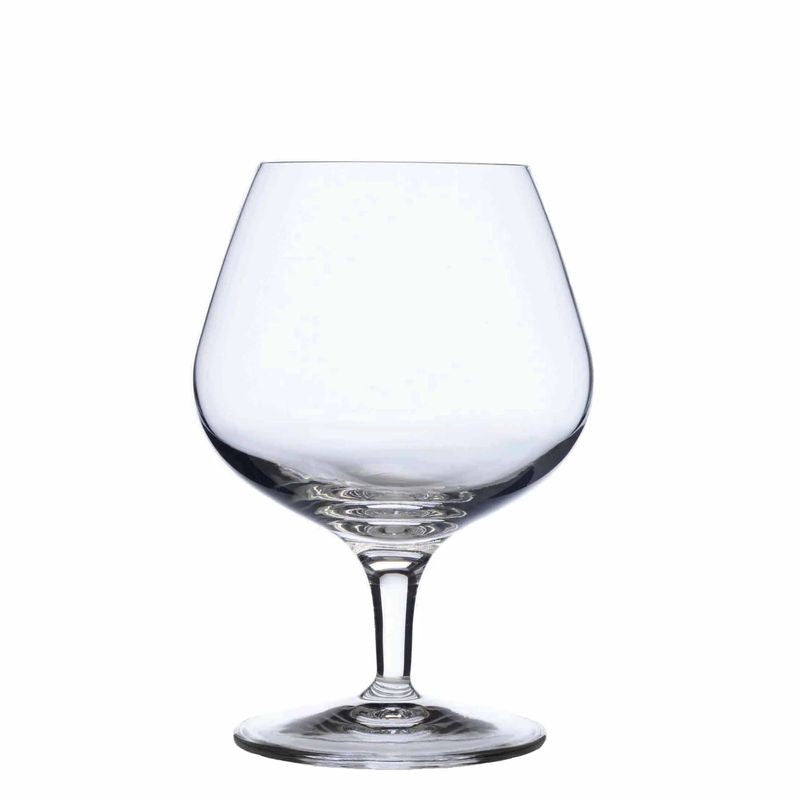 michaelangelo-masterpiece-cognac-glasses-set-of-4