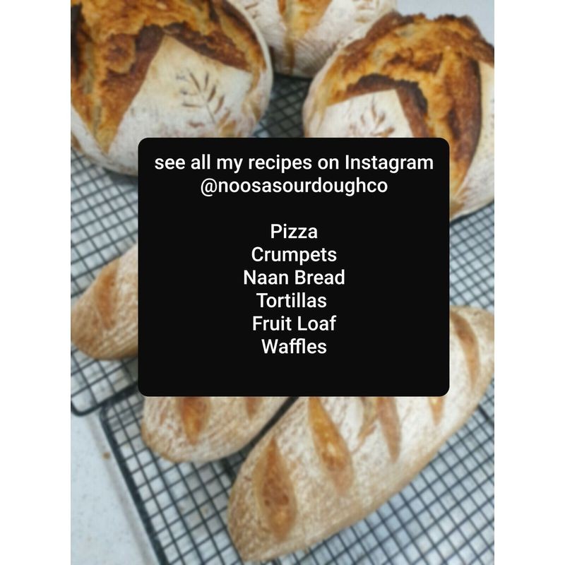 noosa-sourdough-co-tradition-starter-15g