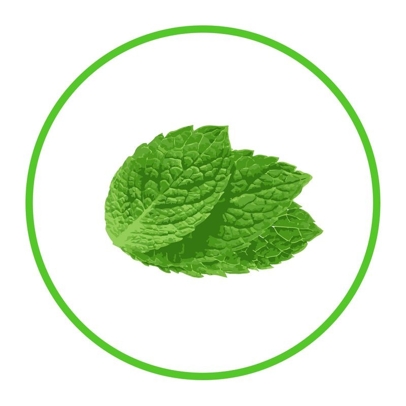 roberts-fresh-natural-flavoured-essence-mint-30-ml