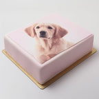 bake-print-wafer-paper-thick-a4-24-pack