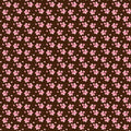 Roberts Chocolate Transfer Sheet - Blossom - Pink, Baby Pink & Cherry