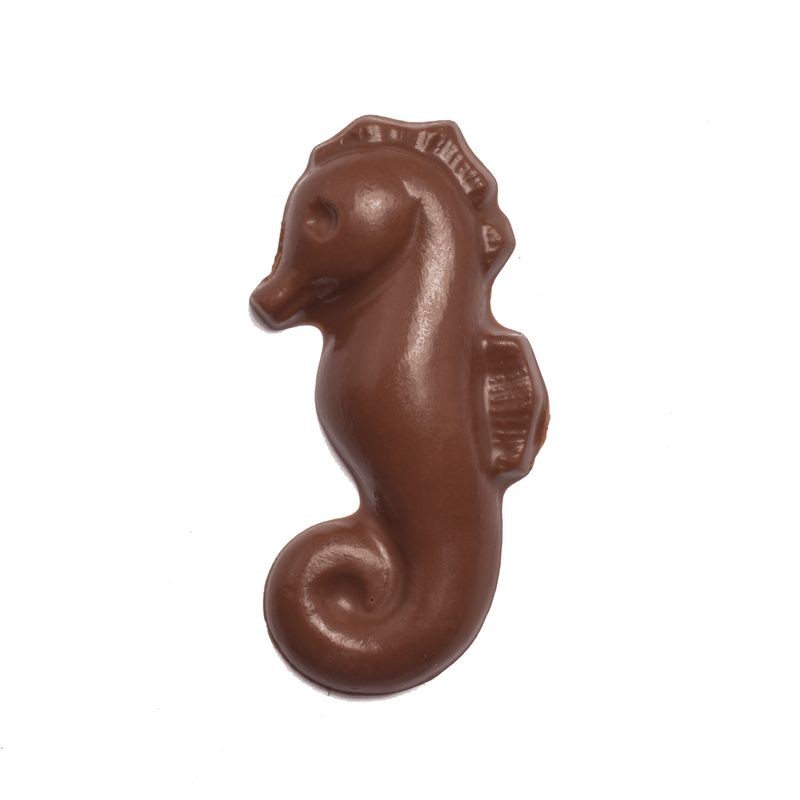 roberts-chocolate-mould-summer-beach-theme
