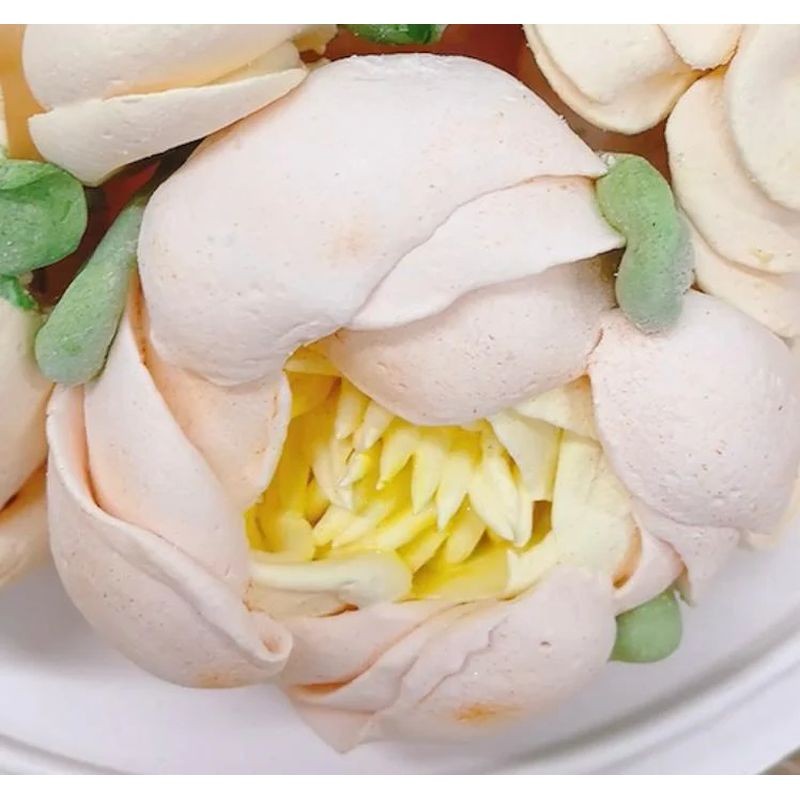 more-flower-power-peony-disc-and-piping-tip-set