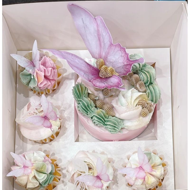 more-bento-cake-n-cuppies-boxes-regular