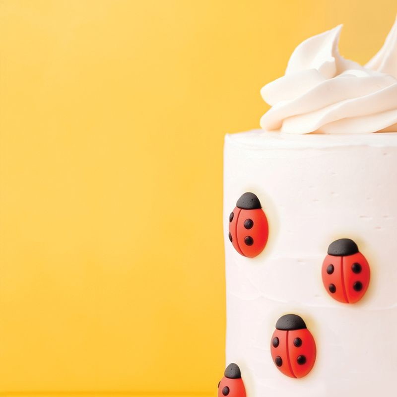 sprinks-icing-decorations-ladybugs-10-pieces