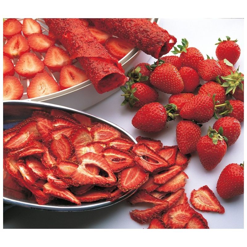 EziDri Digital FD500 Dehydrator