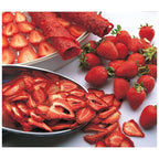 EziDri Digital FD500 Dehydrator