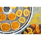 EziDri Digital FD500 Dehydrator
