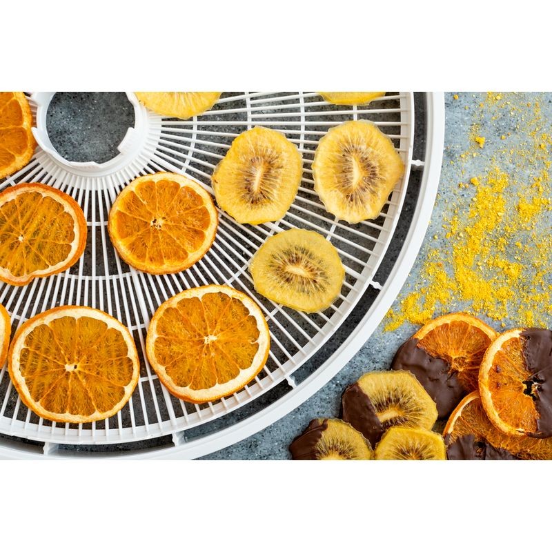 EziDri Digital FD500 Dehydrator