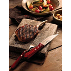 tramontina-churrasco-jumbo-steak-knife-polywood-red