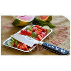 i-o-shen-f-4026-chai-khom-santoku-knife-11cm