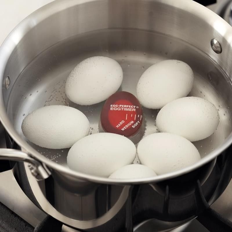 burton-egg-colour-change-timer