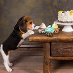dog-bone-print-baking-cups-white-50pcs