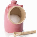 R.S.V.P. Stoneware Salt Pig - Pink 12cm