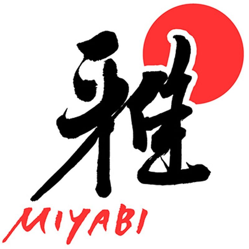 miyabi-5000mcd-birchwood-gyutoh-chef-knife-24cm